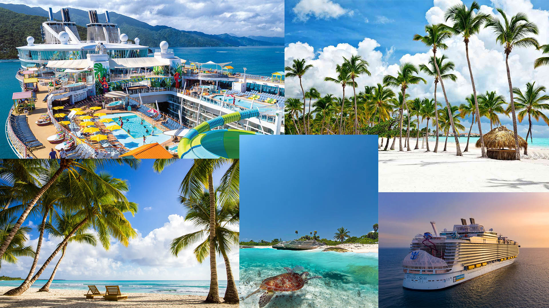 carribean-slider-cat-pic copy