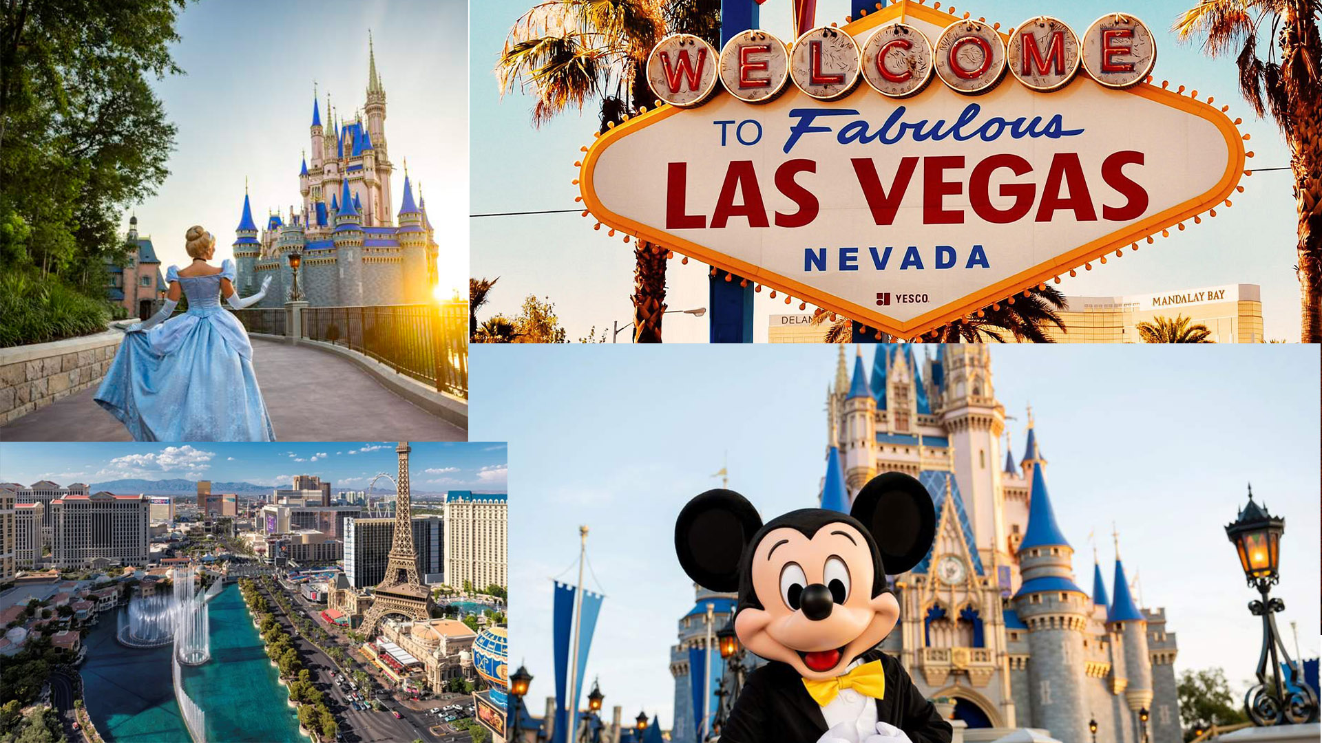 disney-vegas-slider-cat-pic